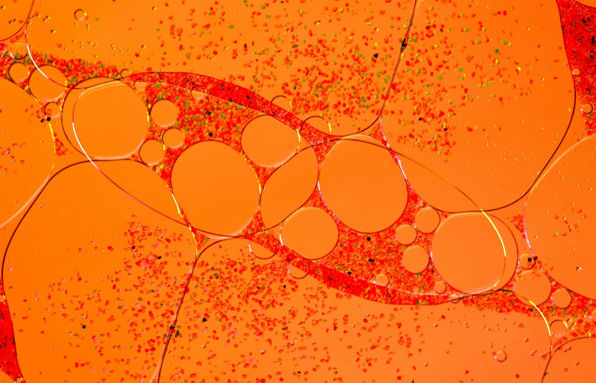 Step 3: Get Your Results